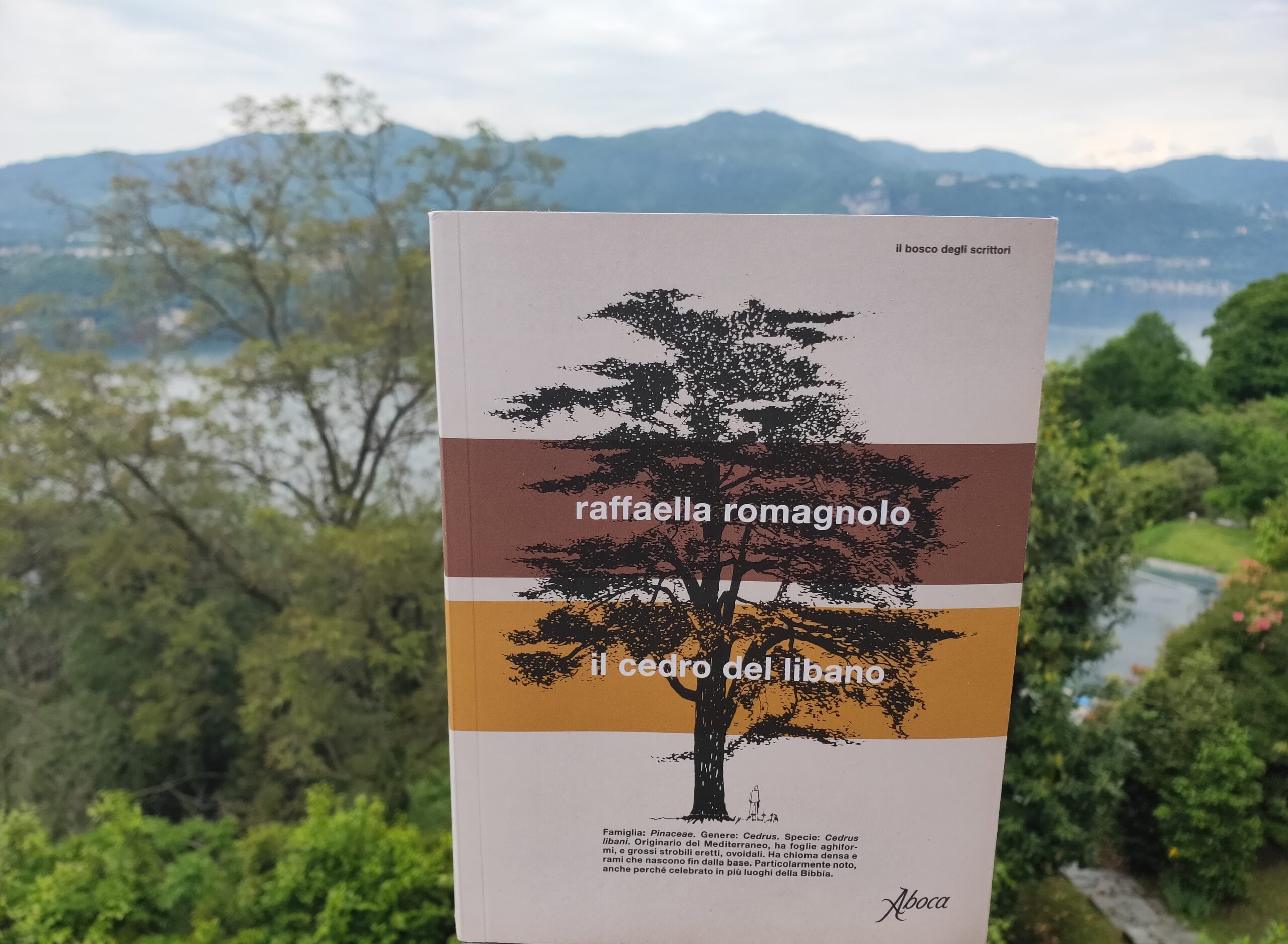 un albero, quattro racconti: il cedro del libano di Raffaella Romagnolo